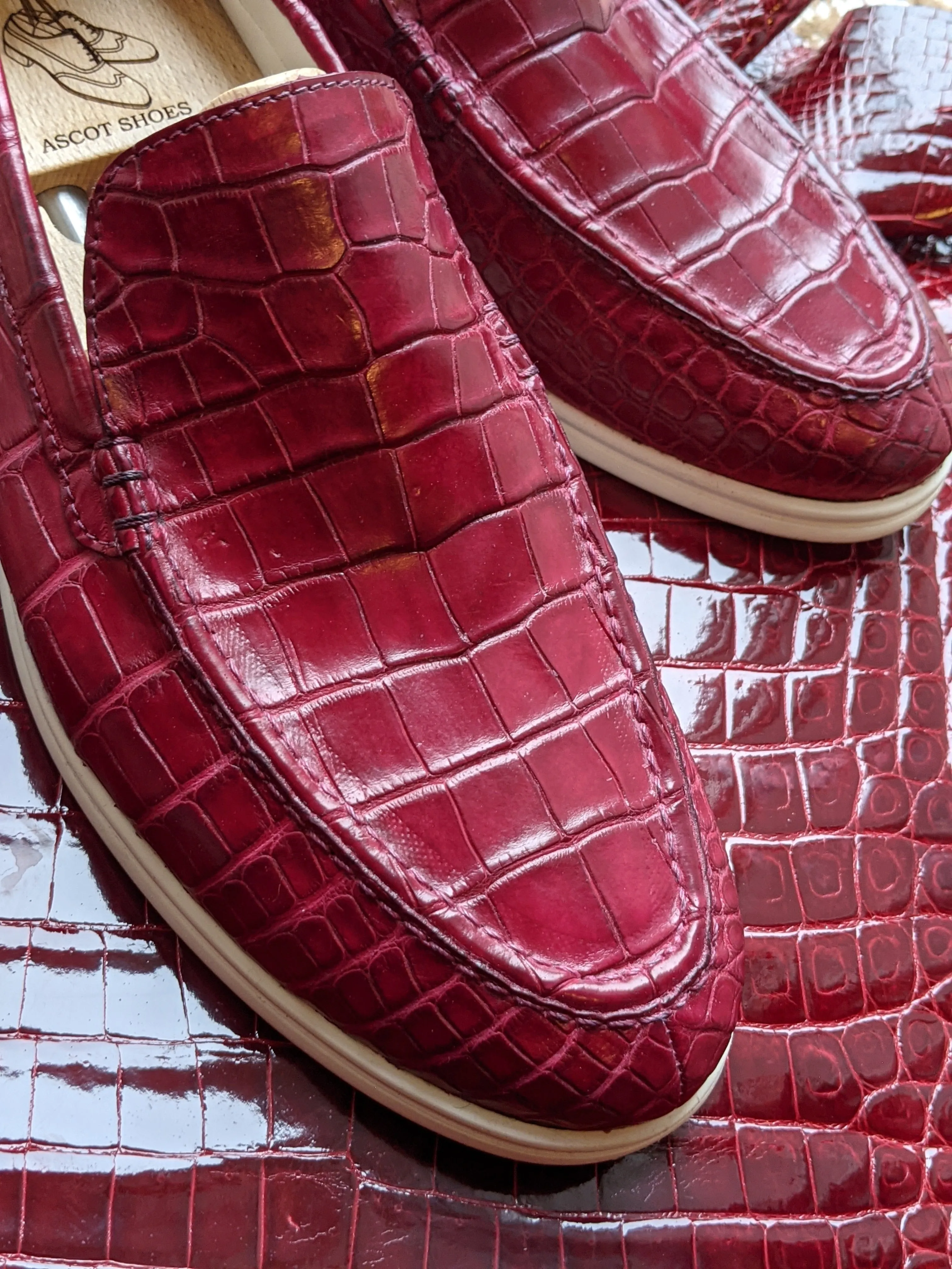 Ascot Cannes - Burgundy Crocodile