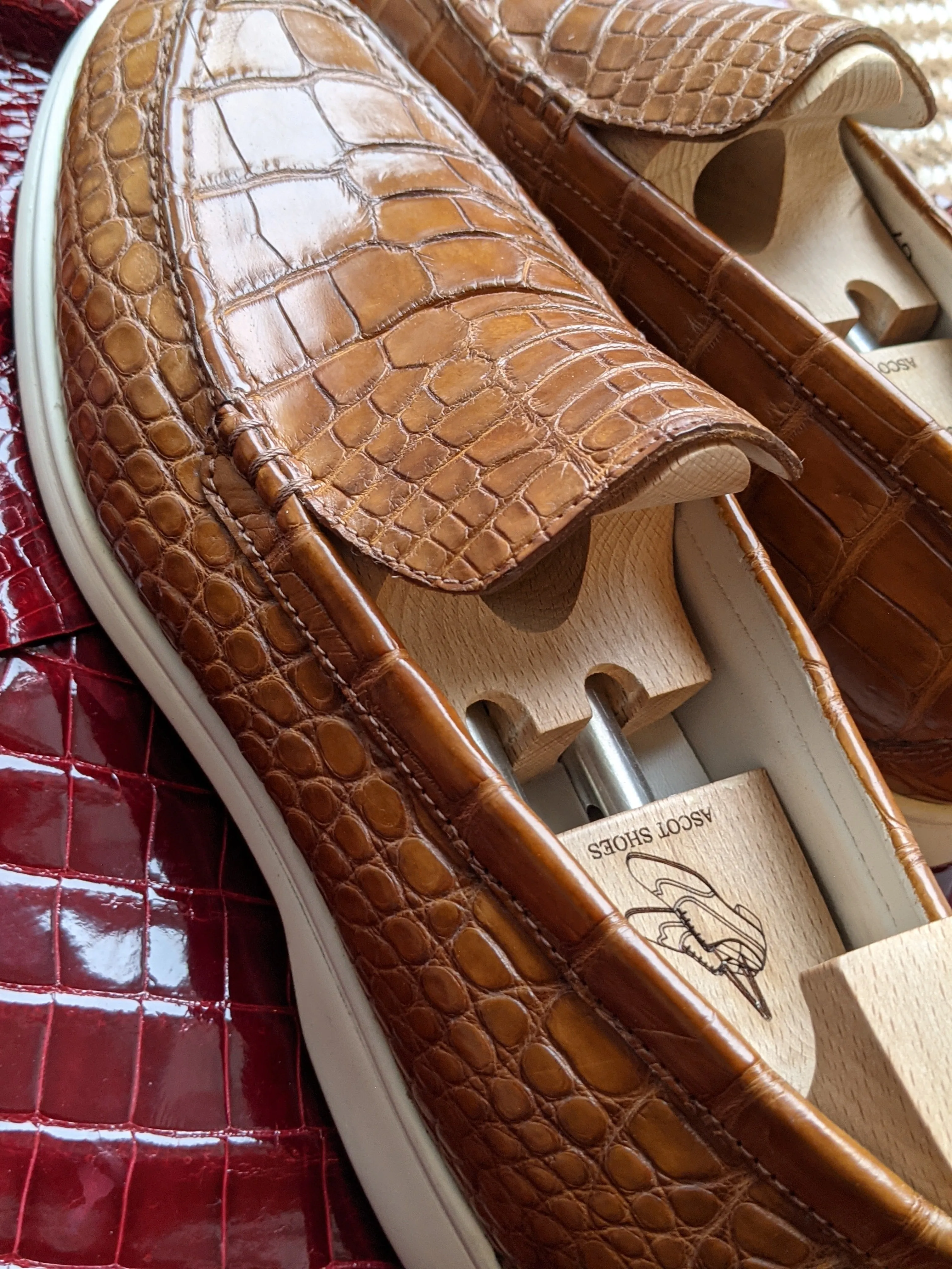 Ascot Cannes - Cognac Crocodile