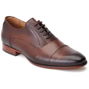 Base London Men's Angelo Derby in Brown