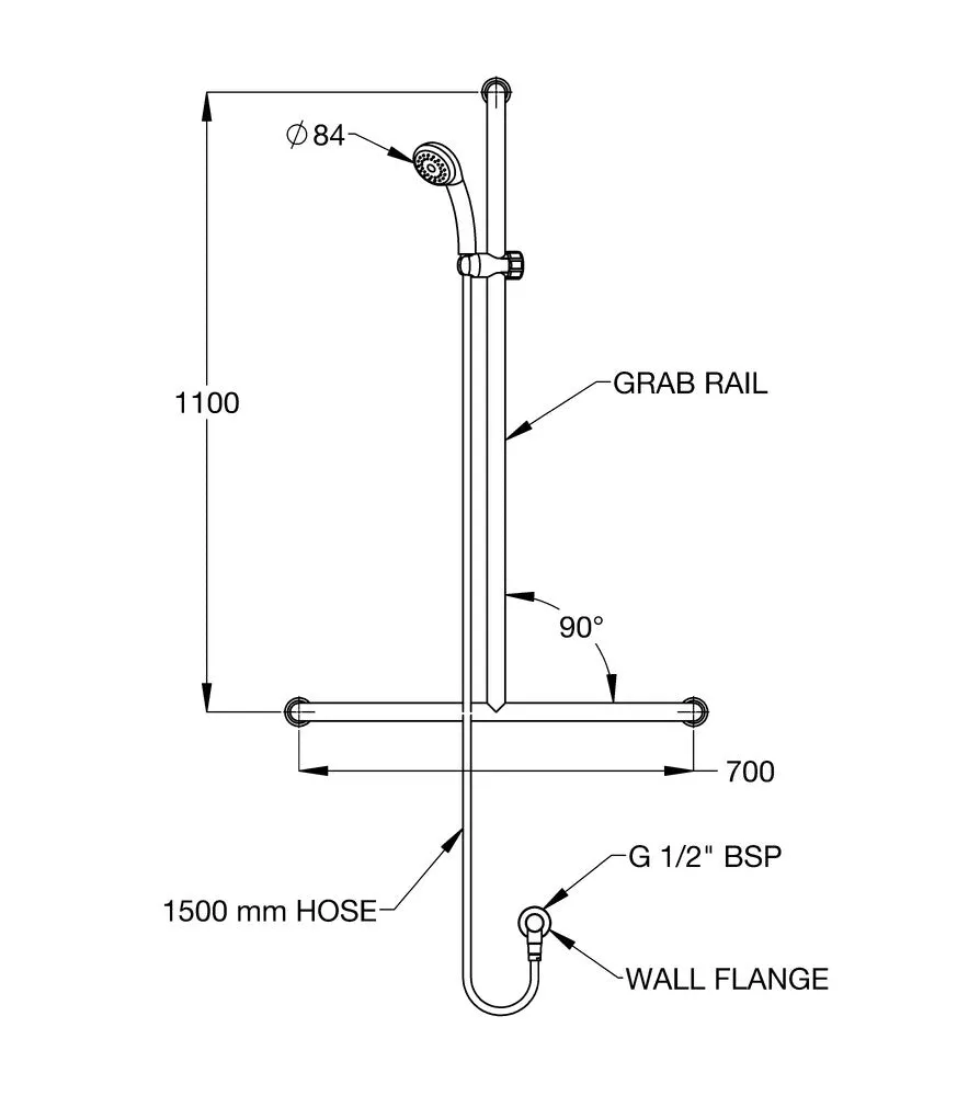 GalvinAssist® CP Hand Shower with Inverted Centre T 700x1100 Stainless Steel Hygienic Grab Rail