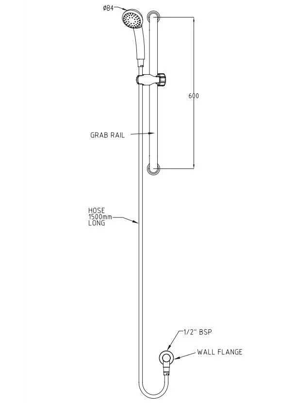 GalvinAssist® Hand Shower Kit with 600x32 Stainless Steel Hygienic Grab Rail