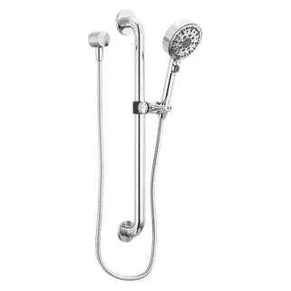 Peerless Precept: ADA hand shower