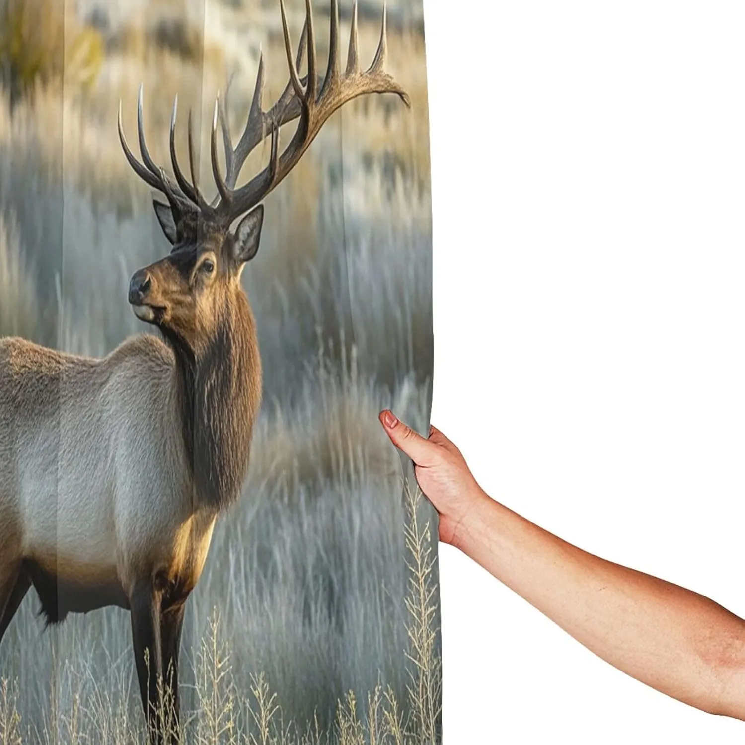 Shower Curtain Set with 12 Hooks Modern Art Bath Curtains Waterproof Fabric Washable Curtain Elk in The Meadow Shower Curtains for Bathroom Bathtub Decor 72 x 72 Inches